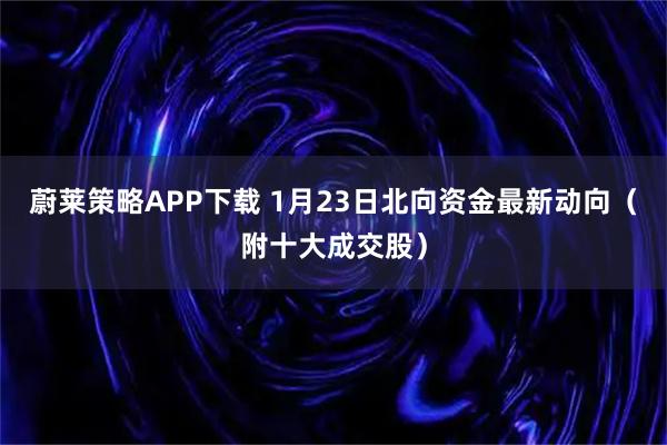 蔚莱策略APP下载 1月23日北向资金最新动向（附十大成交股）