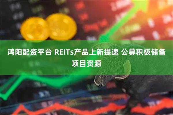 鸿阳配资平台 REITs产品上新提速 公募积极储备项目资源