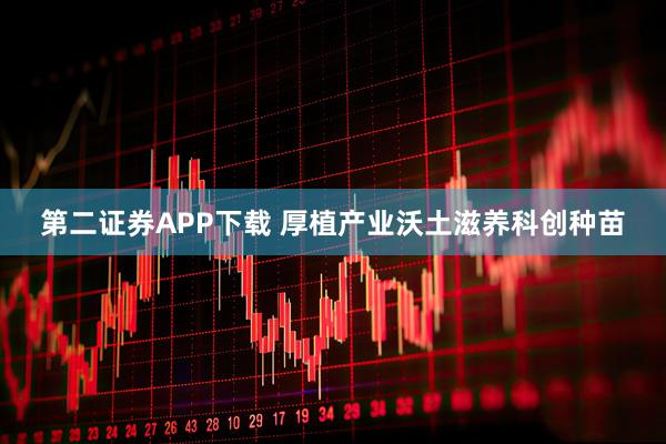 第二证券APP下载 厚植产业沃土滋养科创种苗