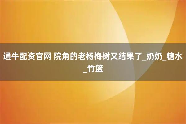 通牛配资官网 院角的老杨梅树又结果了_奶奶_糖水_竹篮